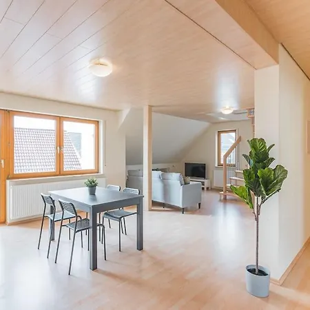 アパート G03 Grosse 8er Maisonette - Ideal Fuer Teams Und Monteure - Self Check-in